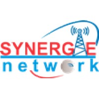 Synergie Network Engineering India pvt. ltd. logo - Similar company to Proswl Technology Private Limited