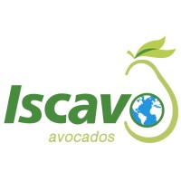 ISCAVO MÉXICO logo - Similar company to Corrugados Fuertes De México