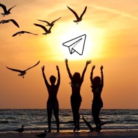 NewsTelegramFreaks Telegram News Noticias Nachrichten Nieuws Notizie Nouvelles Новости Новини Freaks logo - Similar company to A