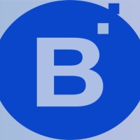 Binsols Technologies logo - Similar company to Devix.Ai