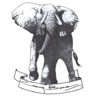 Craig Bone LLC