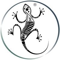 HZL logo - Similar company to Safe & Sound Security