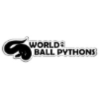 World of Ball Pythons logo - Similar company to Switch2Ai