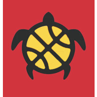 Turtle NIL logo - Similar company to Nothing But Nil