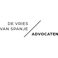 De Vries Van Spanje Advocaten logo - Similar company to Datasoar