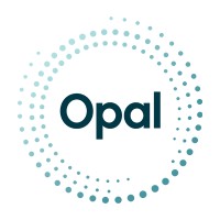 Opal Business Partners LLC logo - Similar company to Opal Recruiting