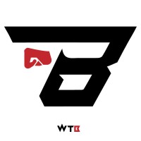 WhatTheBro logo - Similar company to Ceo Of Positivity☀️