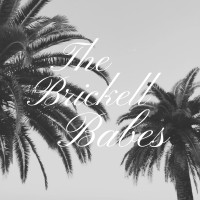 The Brickell Babes logo - Similar company to Nextstep Orientation