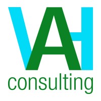VAH Consulting BeNeLux logo - Similar company to Vah Consulting Llc