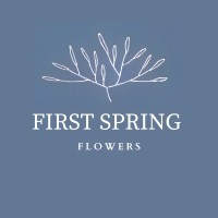 First Spring logo - Similar company to Pbg Training Institute