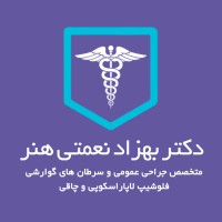 دکتر بهزاد نعمتی هنر | متخصص جراحی عمومی٬ سرطان های گوارشی و فلوشیپ لاپاراسکوپی و چاقی logo - Similar company to Hemmat110 Charity خیریه همت