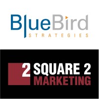 Bluebird Strategies