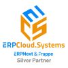 ERPCloud.Systems logo - Similar company to Data Value Solutions