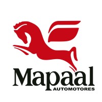 Mapaal Automotores logo - Similar company to Dg Deco Garden