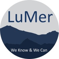 Lumer Professional Support logo - Similar company to Lumer