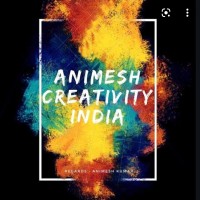 Animesh Creativity India logo - Similar company to Mba Hub