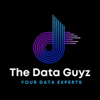 The Data Guyz logo - Similar company to Webs Beetle It Services
