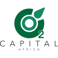 C02 Capital Africa logo - Similar company to Digicentral