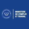 Ministère de l'Emploi et Travail - RDC logo - Similar company to Fonction Publique Rdc