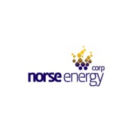Norse Energy Corp USA logo - Similar company to Aai Global Equity