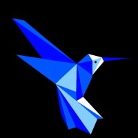 The BlueBirdD Solutions logo - Similar company to K29 Solutions