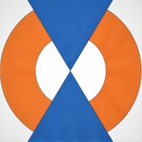 Walrus Maritiem B.V. logo - Similar company to Tbworkboats