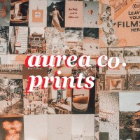 Aurea Co. Prints logo - Similar company to Ycities