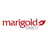 Marigold ONE11 logo - Similar company to Diversified Solutions