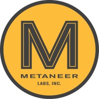 MetaNeer Labs logo - Similar company to Techlabs Llc