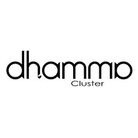 dhamma Cluster logo - Similar company to Horizonte De Projecto