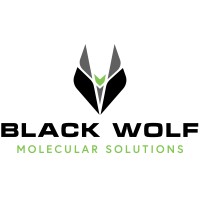Black Wolf Molecular Solutions LP logo - Similar company to Double M Construction Group