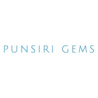Punsiri Gems logo - Similar company to Dinidu