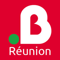 Mr.Bricolage Réunion logo - Similar company to Château Morange
