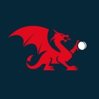Criced Cymru / Cricket Wales logo - Similar company to Welsh Rowing