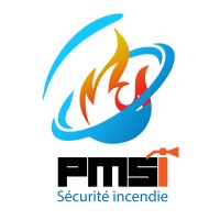 PMSI logo - Similar company to Gismartware (Ciril Group)