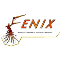 Federación Nacional de Identidades Mexicanas logo - Similar company to Krso Logística.