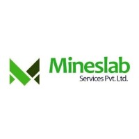 Mineslab Services Pvt. Ltd. logo - Similar company to Nv Drone Store