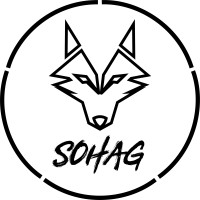 SOHAG logo - Similar company to Bccit Academy المركز الثقافى البريطانى لتكنولوجيا المعلومات
