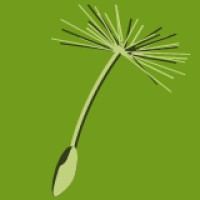 Seeds MDPI logo - Similar company to Veterinary Sciences Mdpi