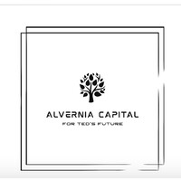 Alvernia Capital logo - Similar company to Everyi Capital
