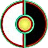 Human Population Academy logo - Similar company to System Decoder