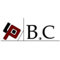 Parallax Business Consulting