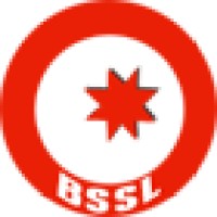BS Group logo - Similar company to Unique Freight Limited