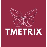TMETRIX logo - Similar company to Intecomp
