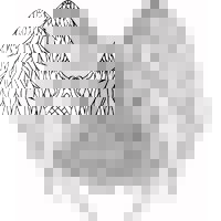 HR Consultant logo - Similar company to Hr Consultant