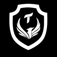 Turan Security logo - Similar company to Uzcert