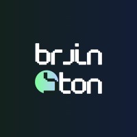 BrainSton logo - Similar company to Redsouls
