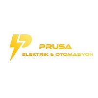 Prusa Elektrik & Otomasyon logo - Similar company to Sanitem Temizlik Ve Dezenfeksiyon