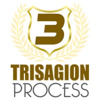 TRISAGION PROCESS sarl logo - Similar company to Africasys