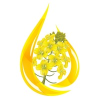 Plenonis Ltd. logo - Similar company to Uab 